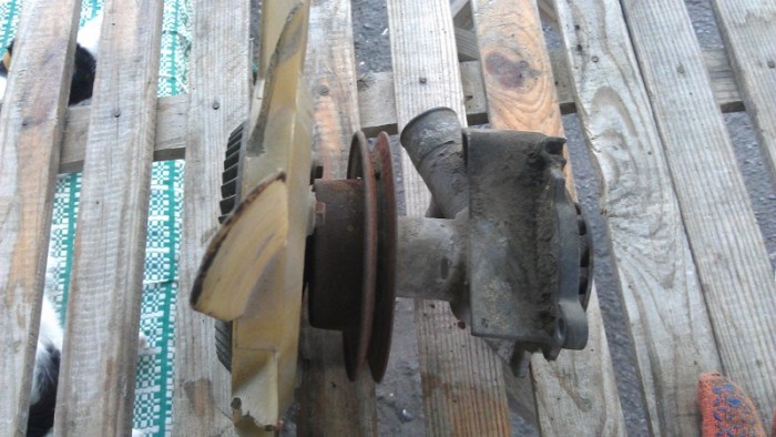 IMAG0090.jpg15.jpg