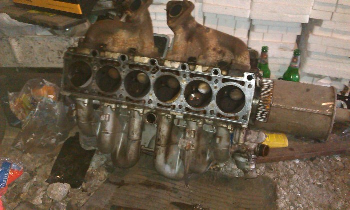 IMAG0342.jpg