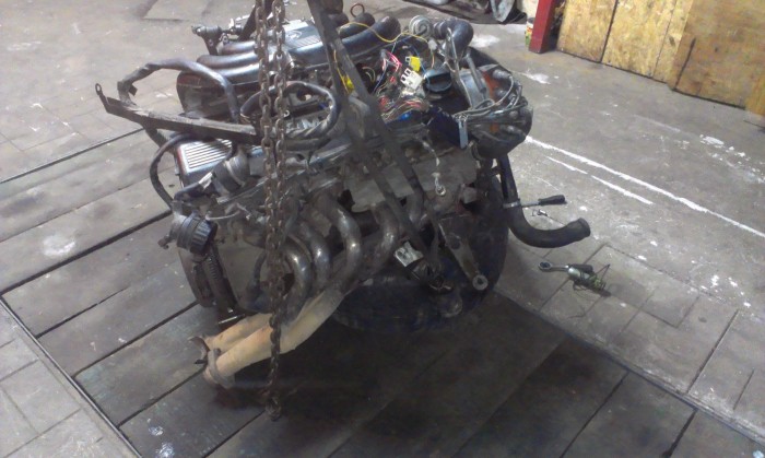 IMAG0038.jpg