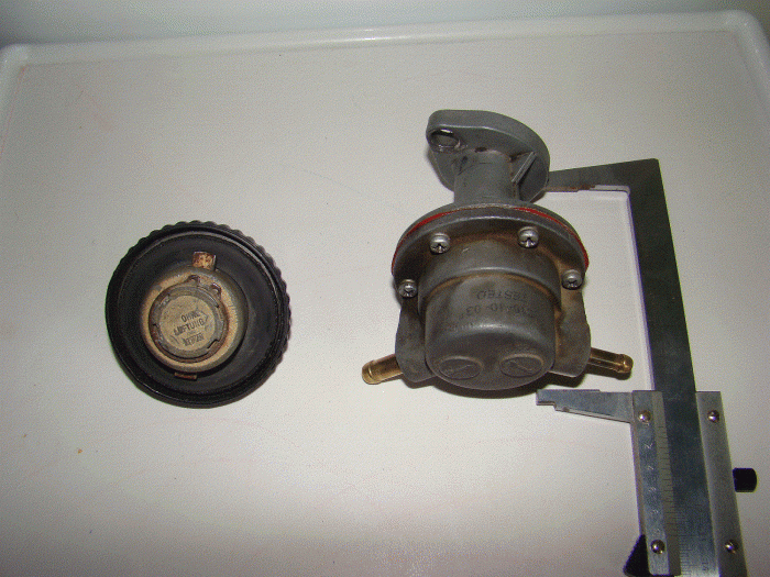 DSC07926.gif