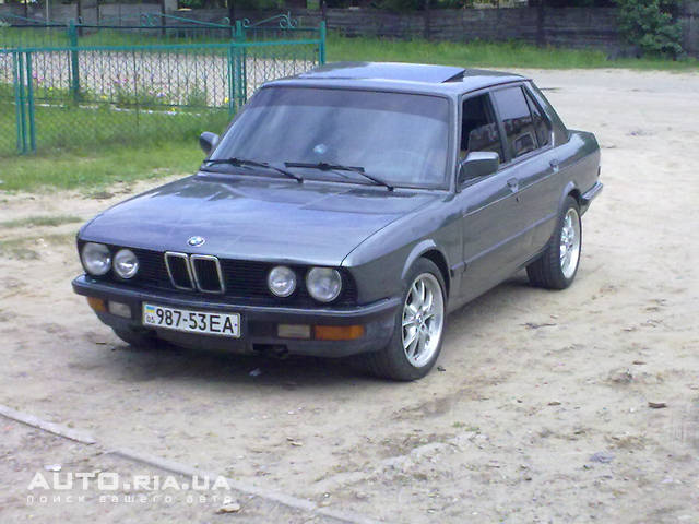 59253764f.jpg