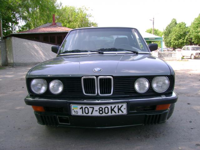 663382.JPG