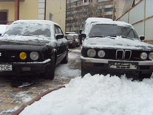 SDC15095fh.jpg