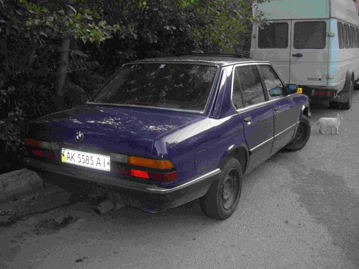 IMGP8717.JPG